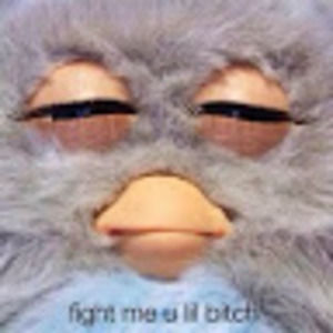 Meet your Posher, Jake